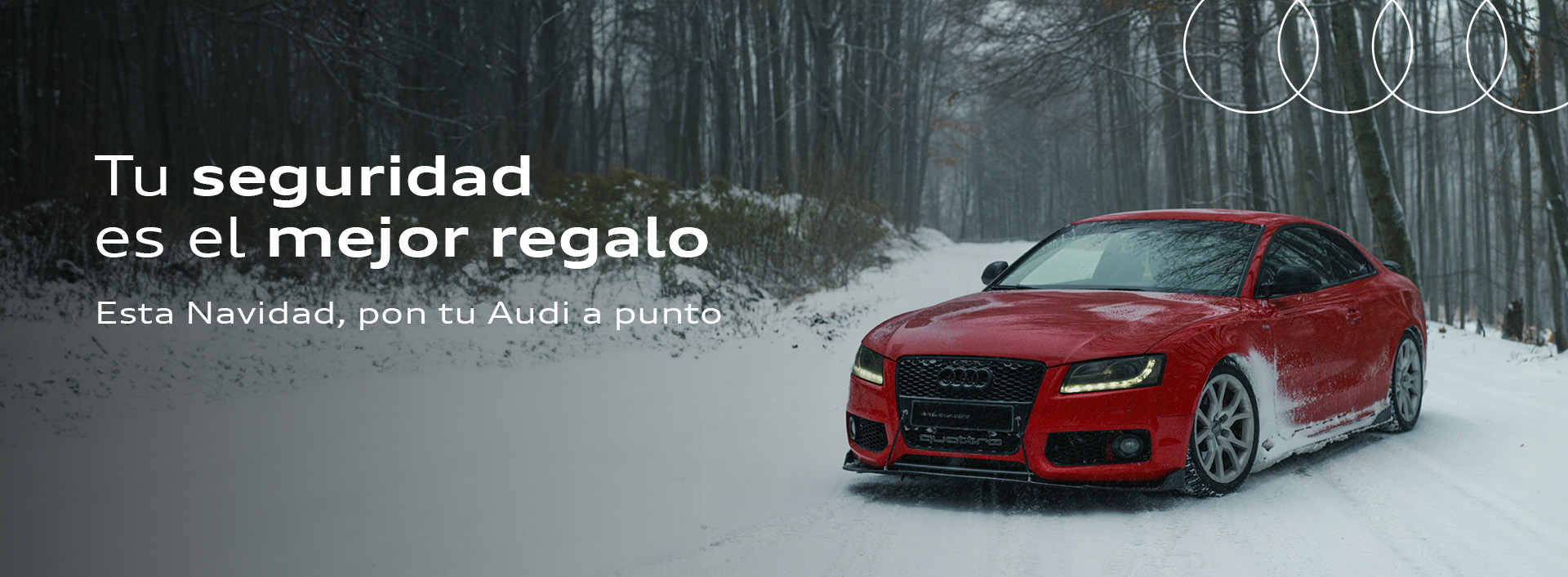Seguridad Audi